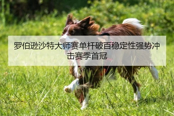 罗伯逊沙特大师赛单杆破百稳定性强势冲击赛季首冠